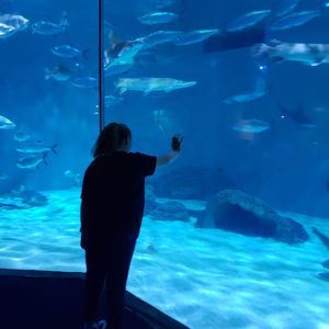 Meet your Posher, Vanessa